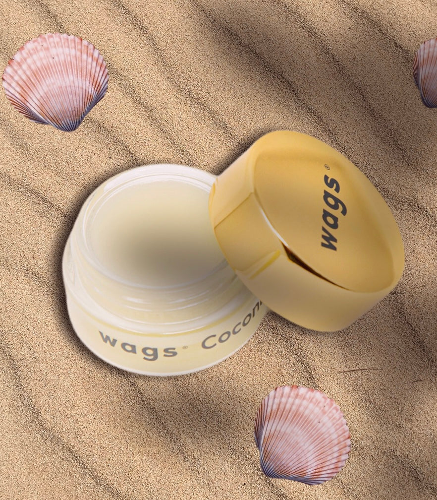 Wags Coconut Lip Scrub - Wags Label